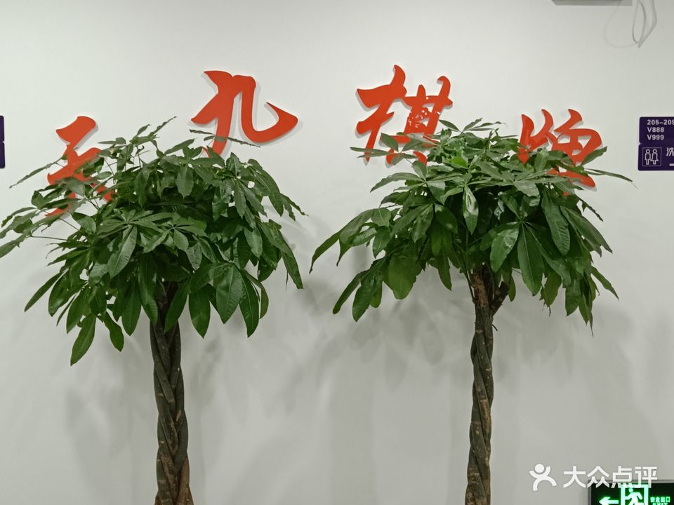 天九棋牌