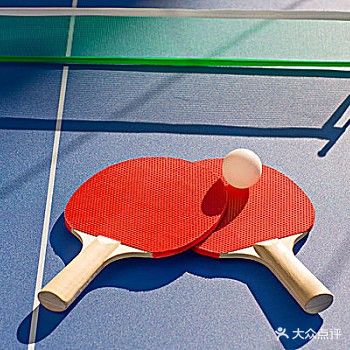 奥搏乒乓球俱乐部