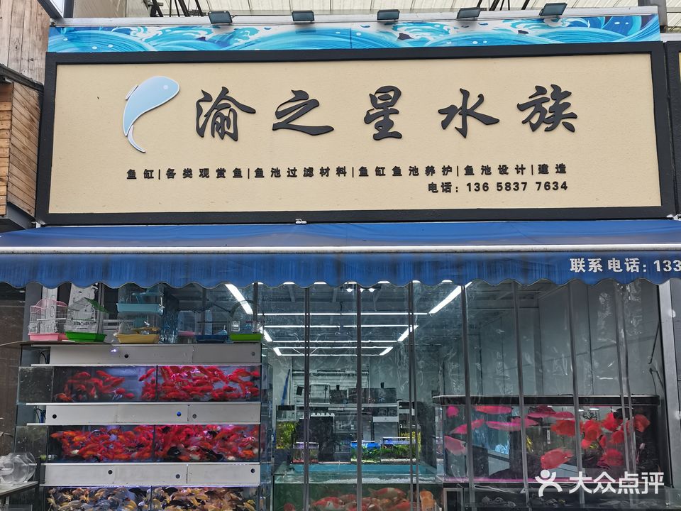 渝和之星水族