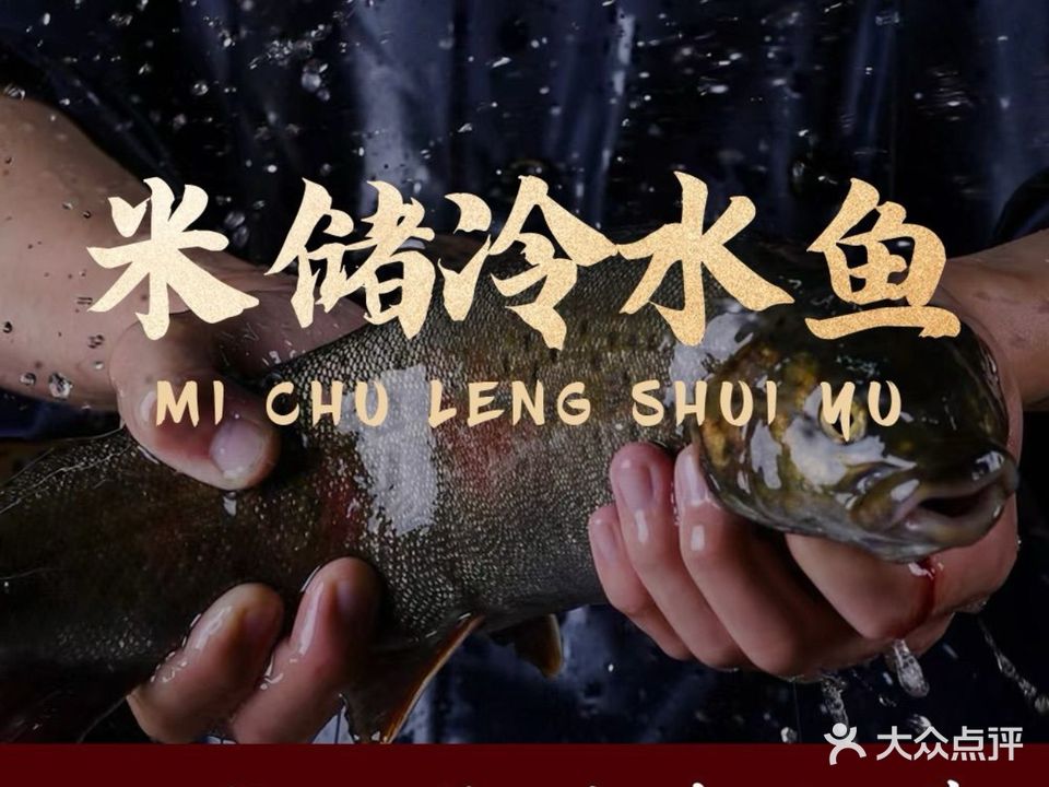 米储儿冷水鱼