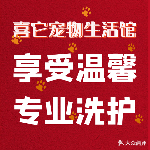 喜它宠物生活馆全城接送