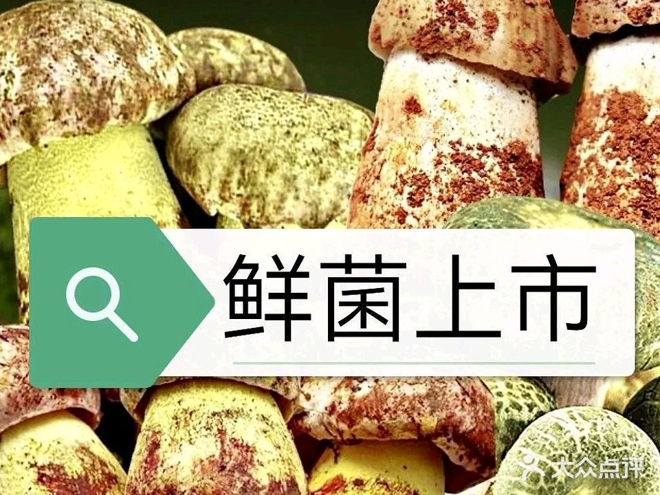 爱尚菌野生菌牦牛肉火锅·烤肉