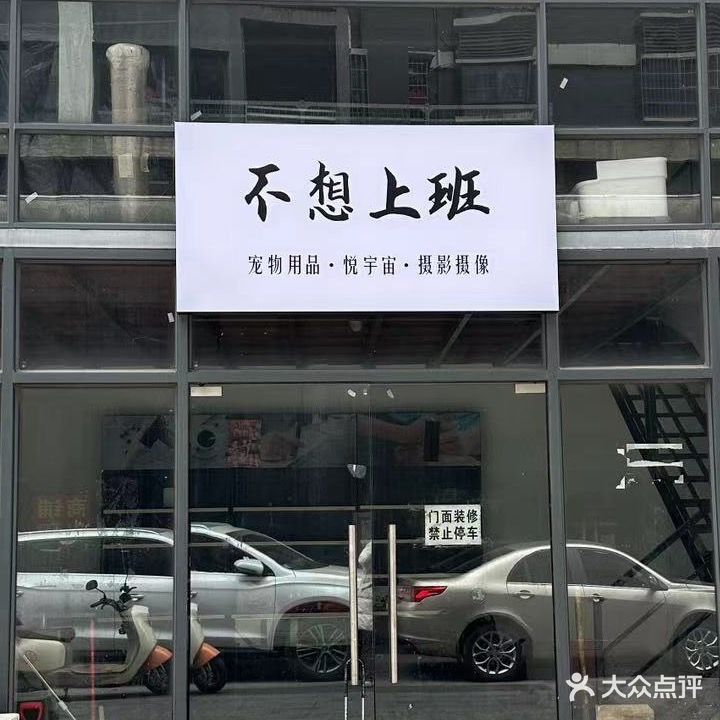 不想上班宠物用品·悦宇宙·摄影摄像