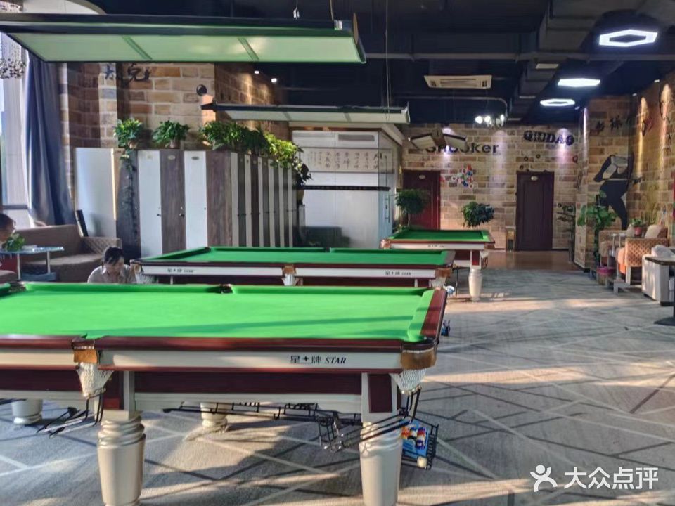 /飞跃台球俱乐部(砀山奥园广场店)