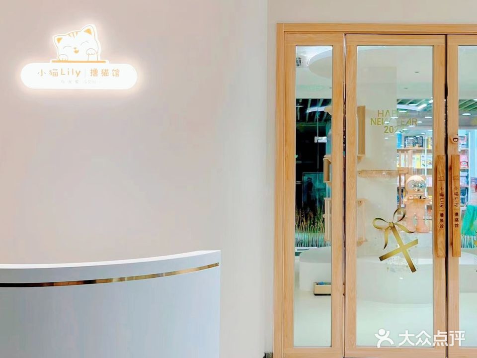 小猫Lily·撸猫馆(万象九宜城店)