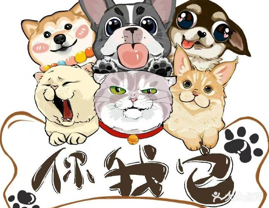 你我它宠物店