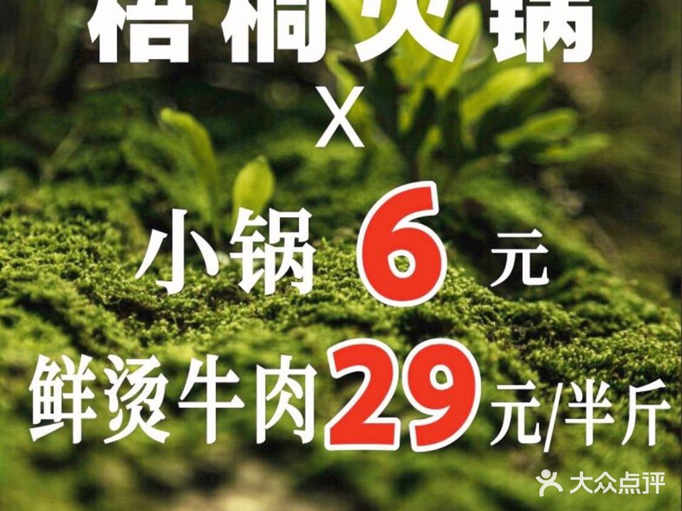 梧桐鲜烫牛肉火锅(沃尔玛店)