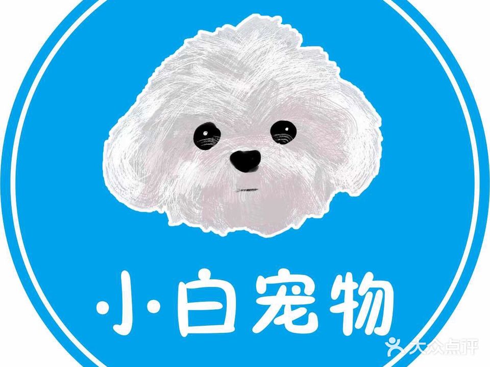 小白宠物