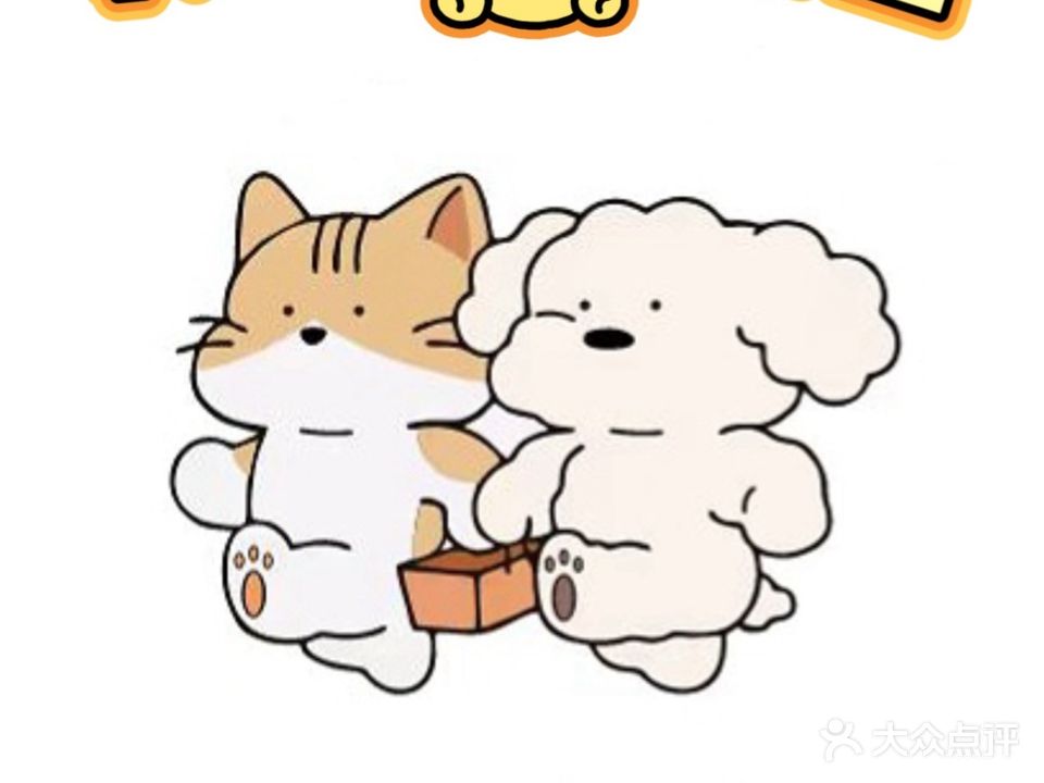 奥喵宠物