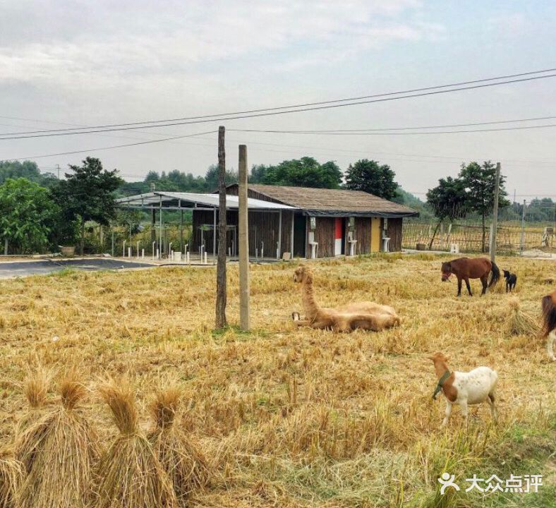 富甲体验农场