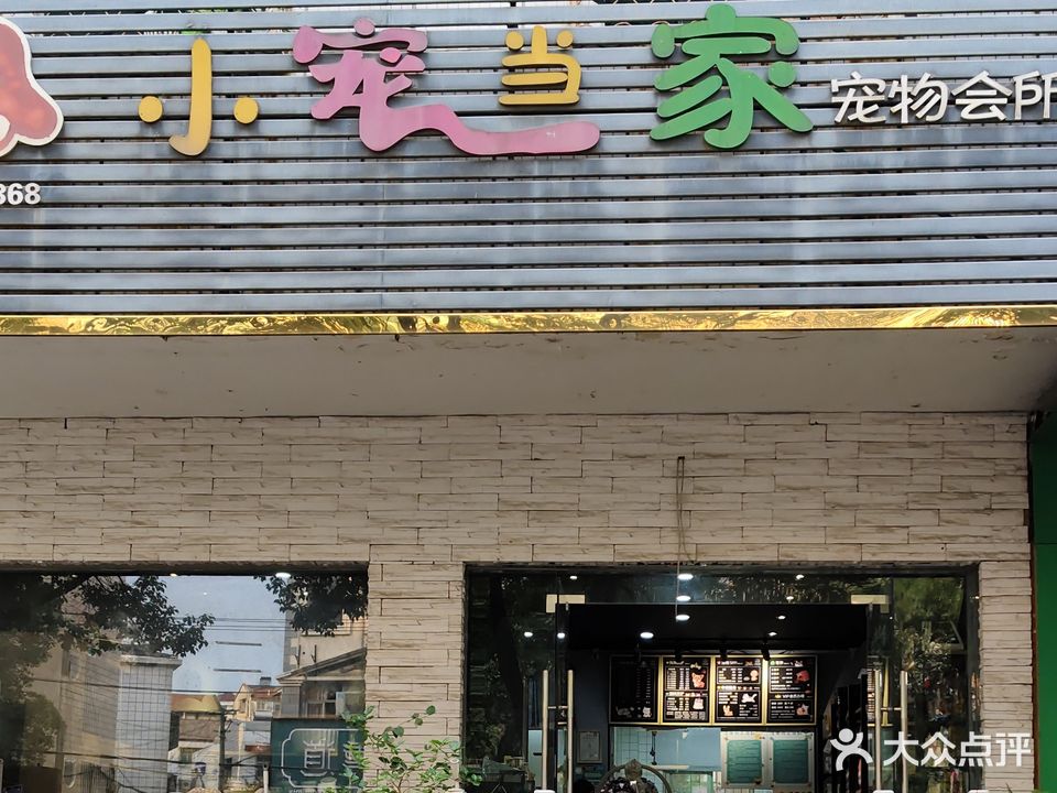 小宠当家宠物会所(团结西路店)