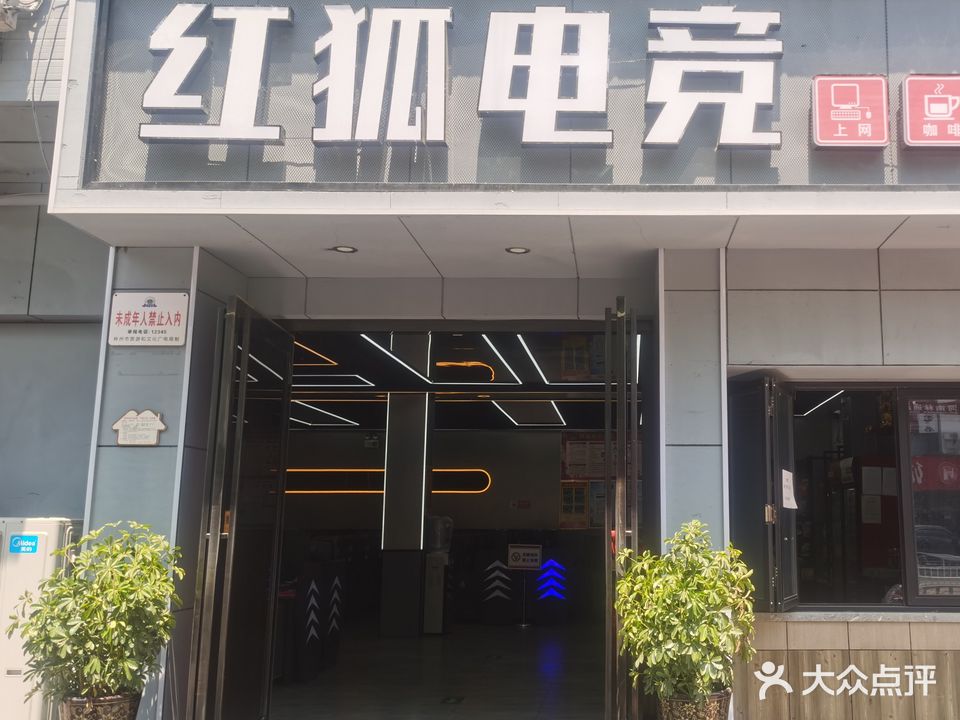 红狐电竞