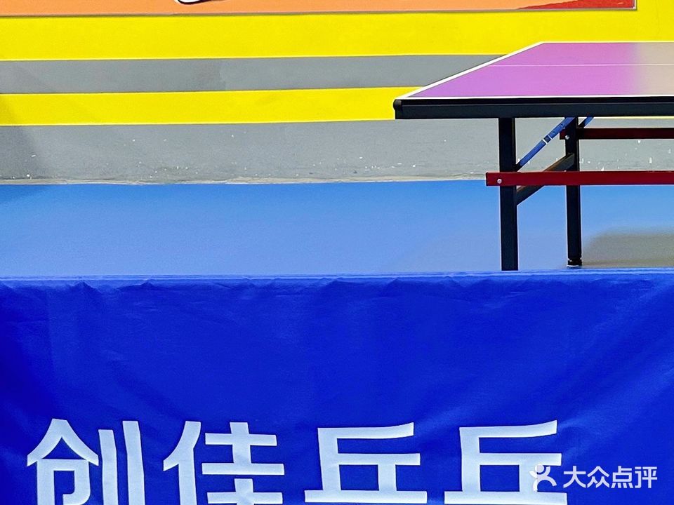创佳乒乓球