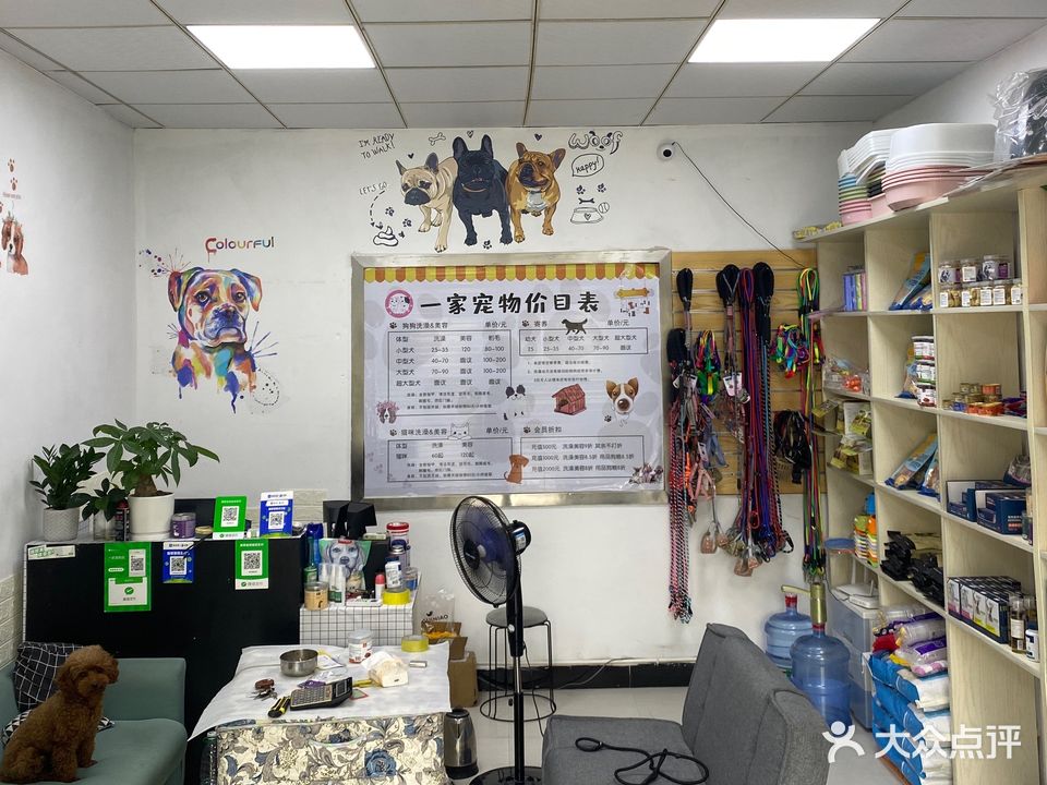 一家宠物店