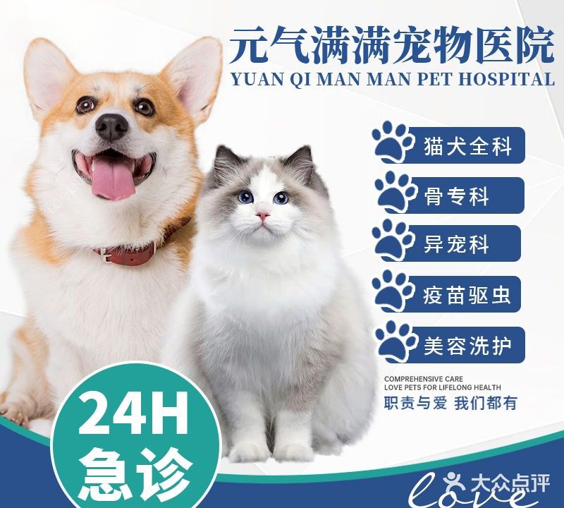 元气满满宠物医院·猫犬全科·骨江·异宠科