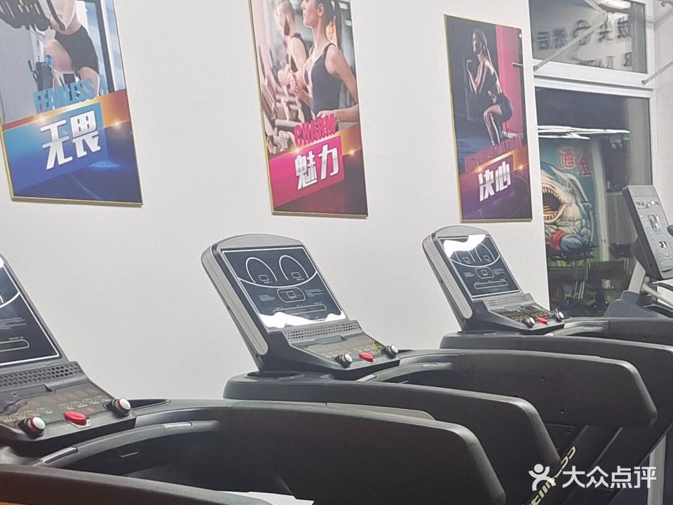 酷鲨减脂训练营