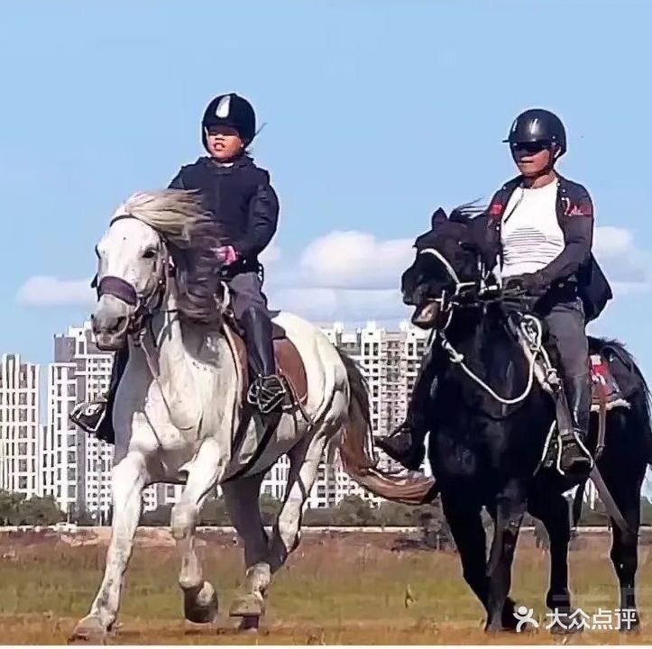 马胜马术俱乐部骑马场