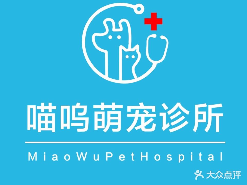 喵呜宠物医院