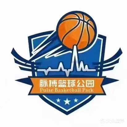 脉搏篮球公园