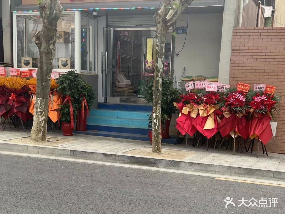 夏目宠物