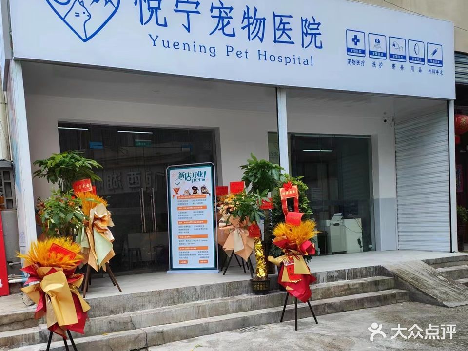 悦宁宠物医院