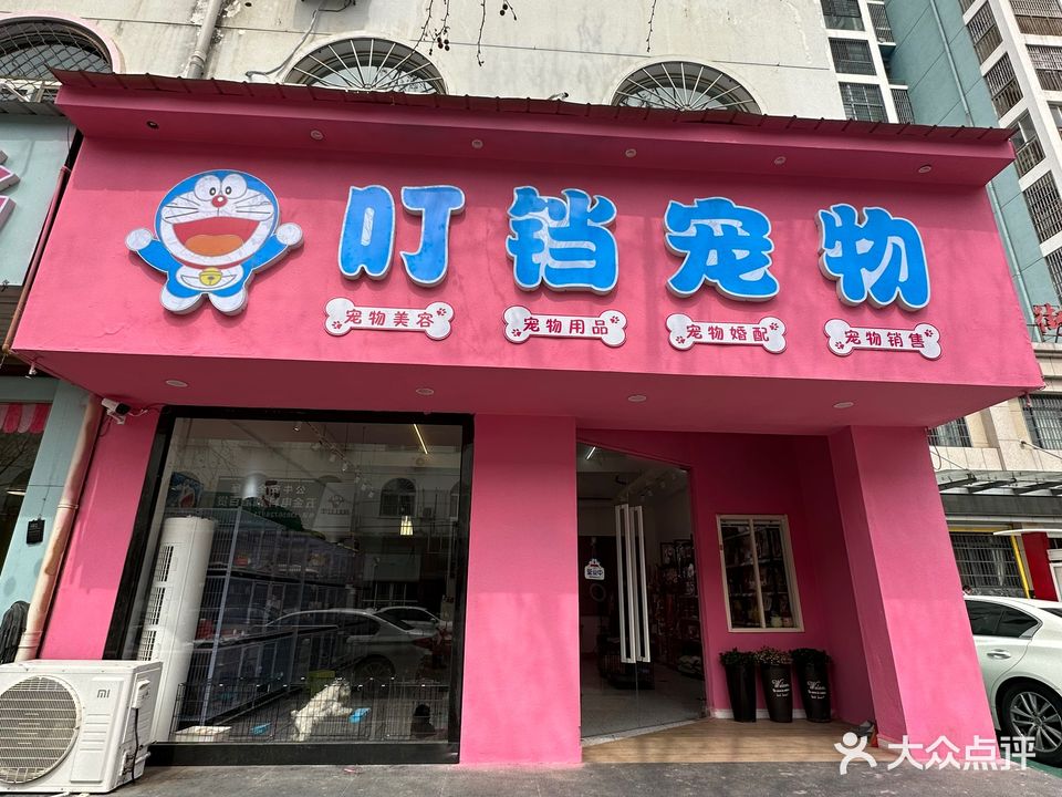 叮铛宠物店店