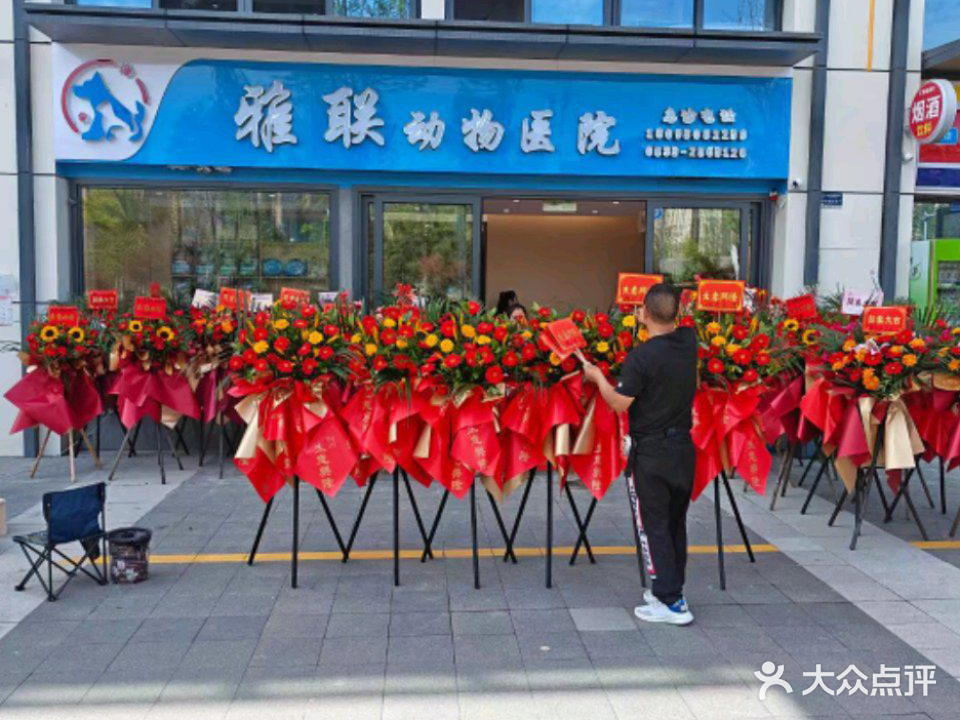 雅联动物医院