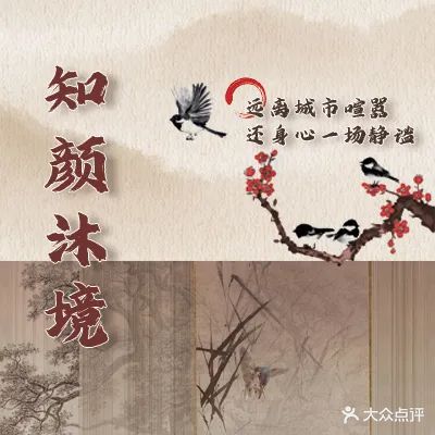 知颜沐境·头疗养生spa馆(吾悦金街店)