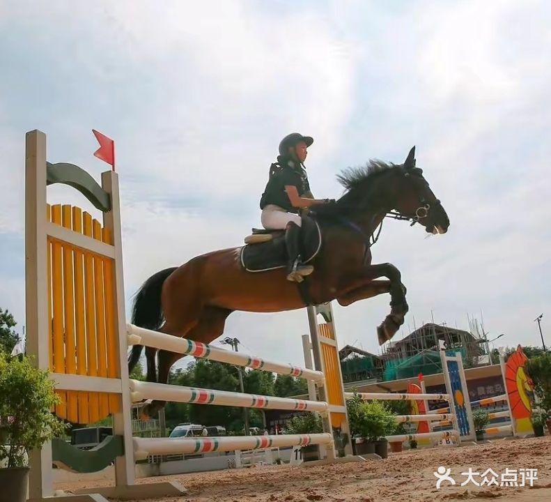 辰轩马术俱乐部