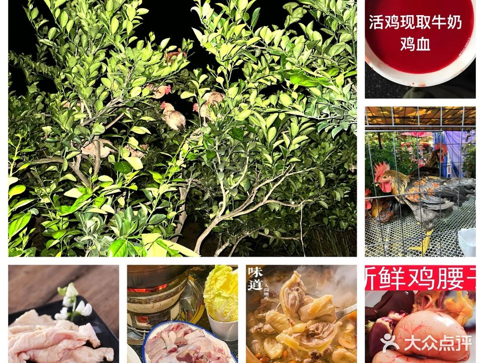 陈姐碳炉走地鸡