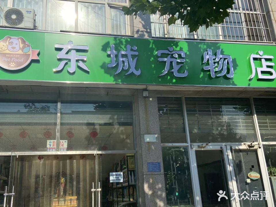 东城宠物店