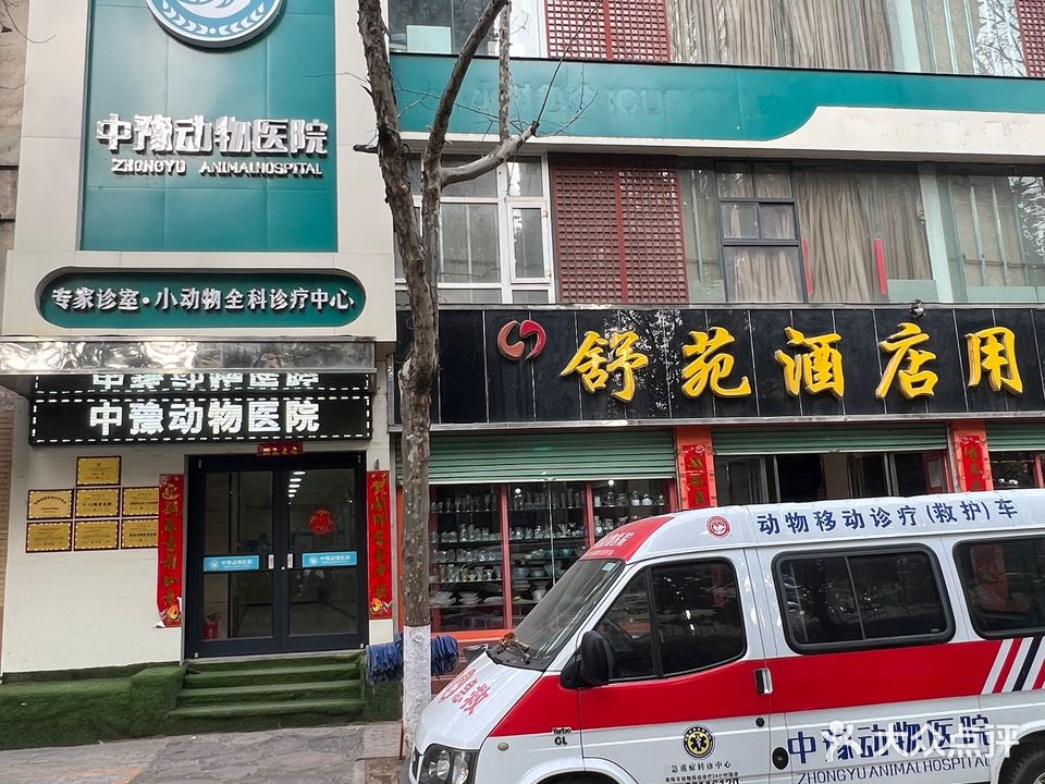 中迁动物医院(车站北路店)