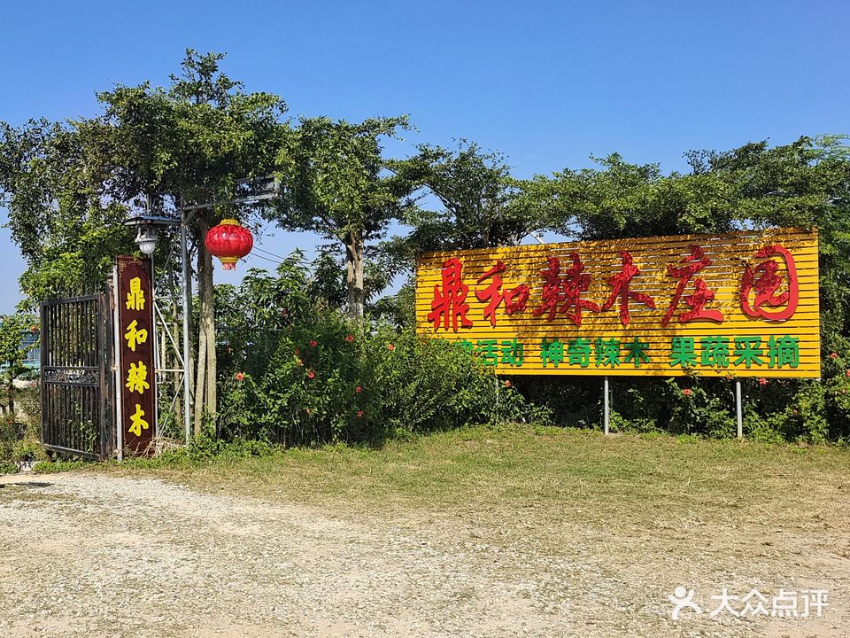 鼎和辣木庄园
