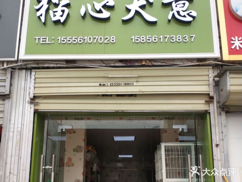 猫心犬意宠物店