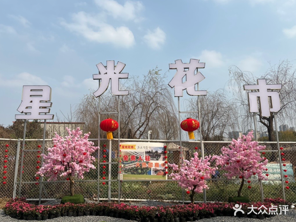 星光花卉露营地