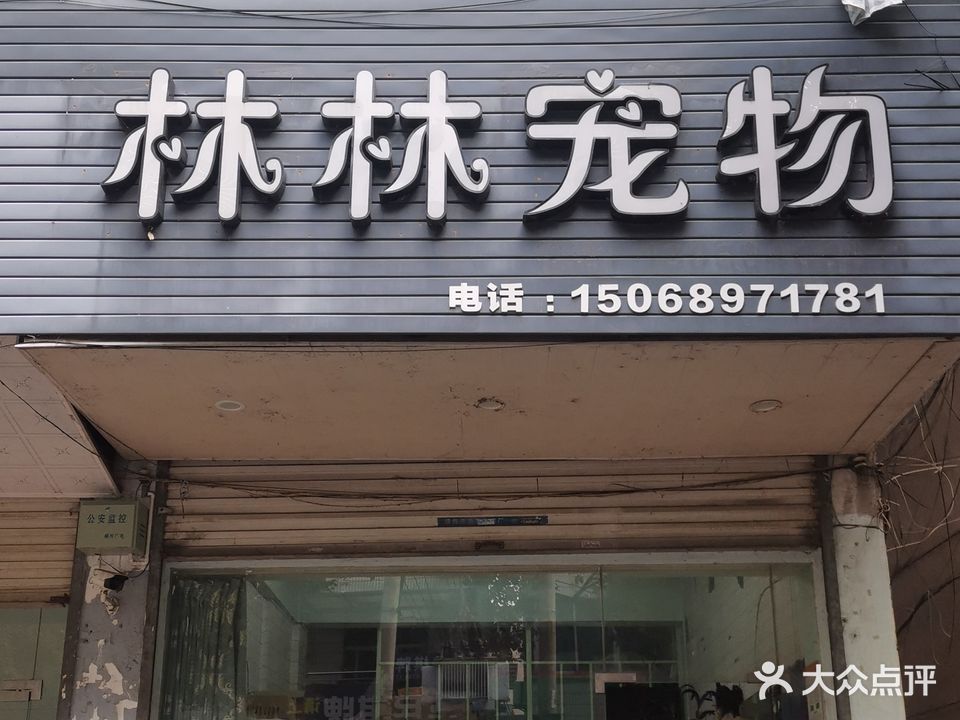 林林宠物