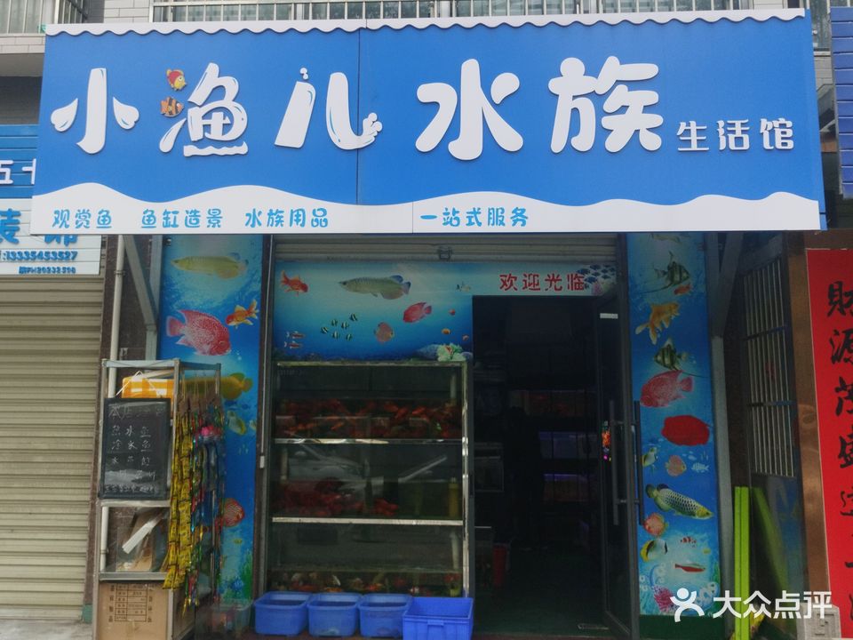 小渔儿水族生活馆