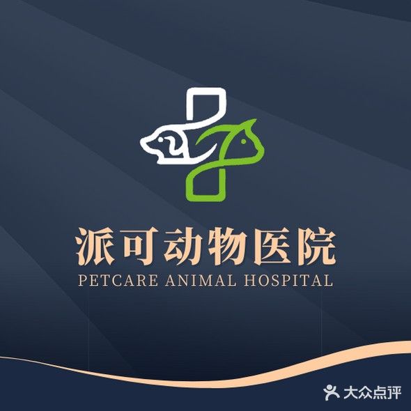 派可动物医院