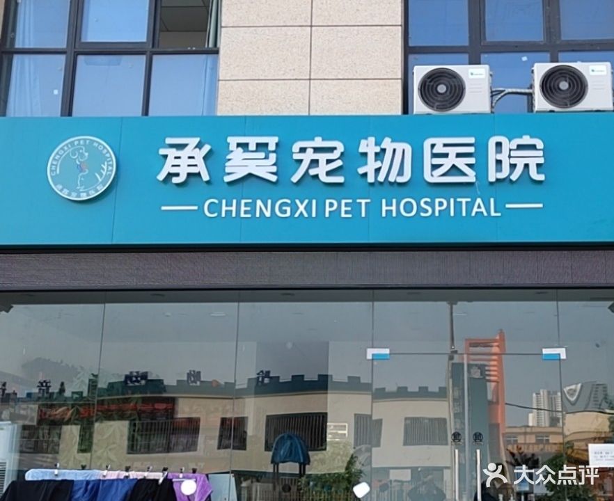 承蹊宠物医院