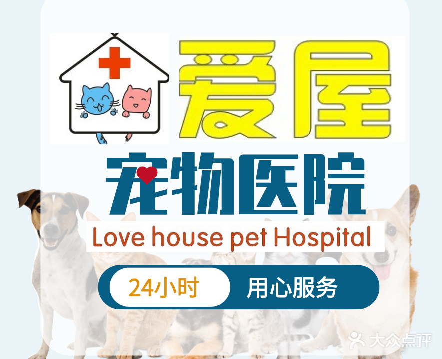 爱屋联合宠物医院(车站大道店)