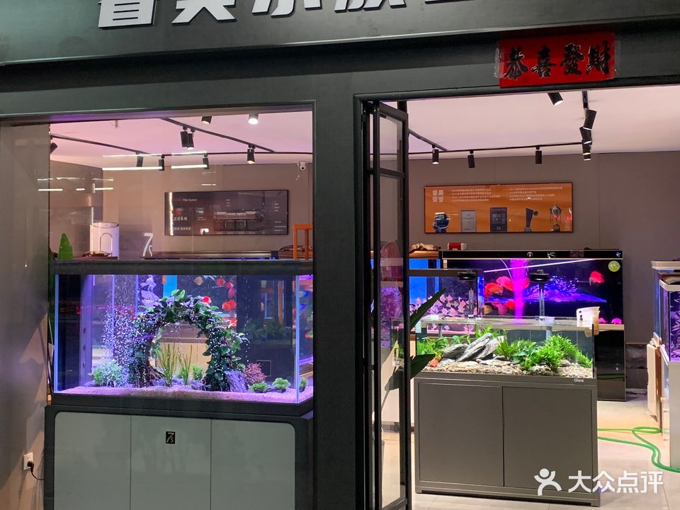 萍萍水族
