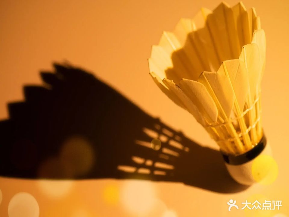 友缘羽毛球馆