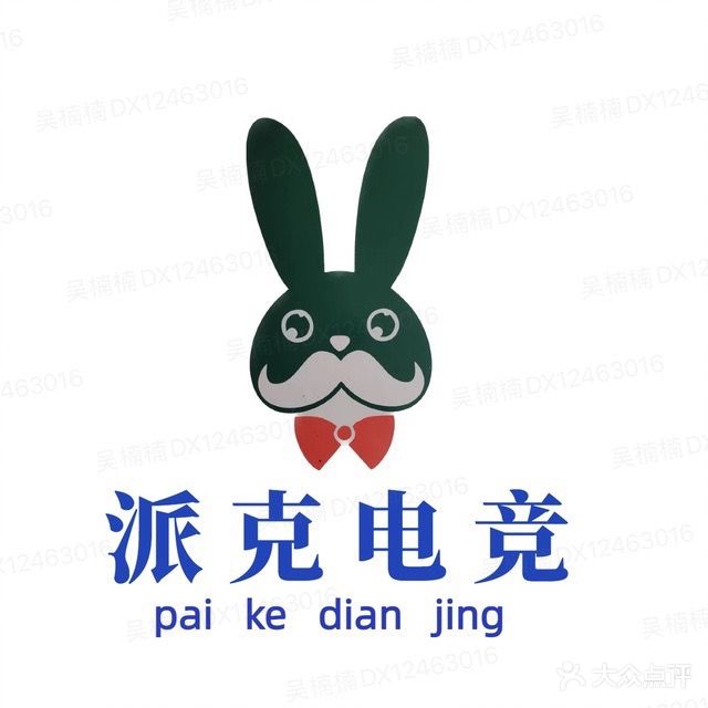 派客电竞(乌衣店)