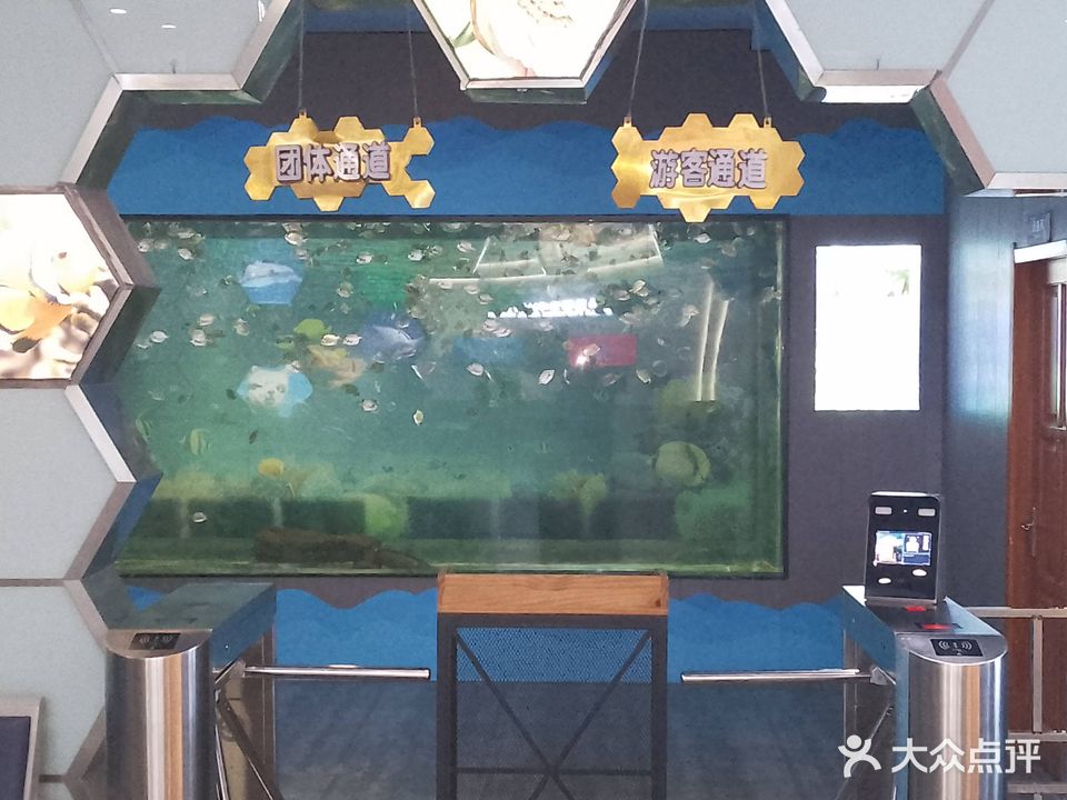 蔚蓝星海洋动物王国(宿州吾悦店)