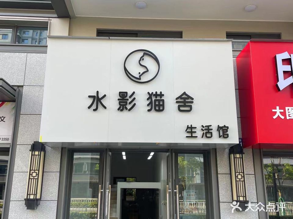 水影猫舍宠物店