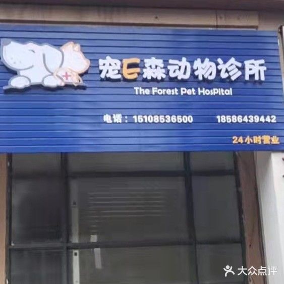 宠E森动物诊所