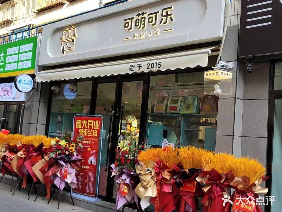 可萌可乐私房小宠(宠小格品牌合作店)