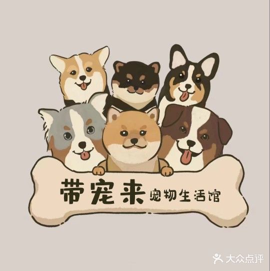 宠物来宠物店