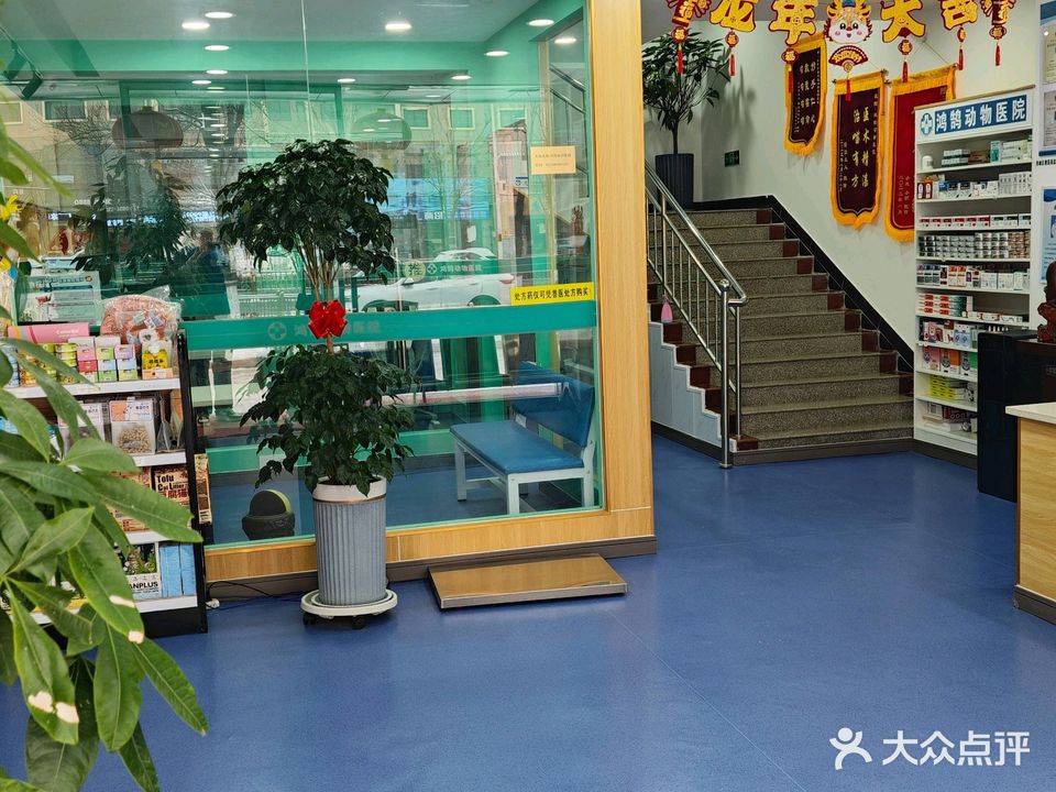 鸿鹄动物医院
