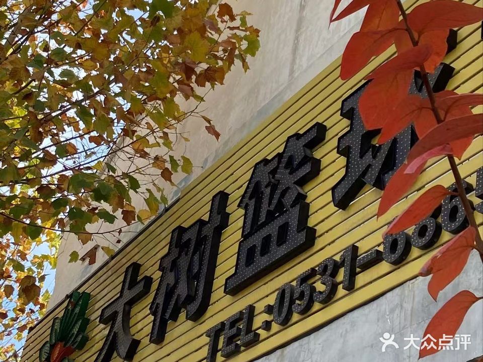 大树体育篮球馆